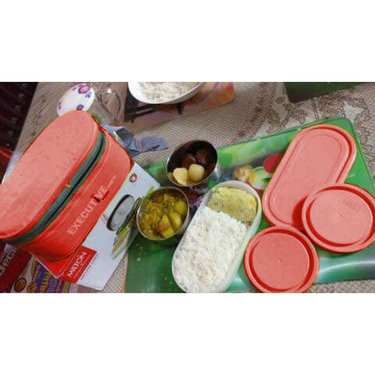 Milton Executive Lunch Box Soft Insulated Tiffin Box (2 SS Container,1 Microwave Safe Container). 