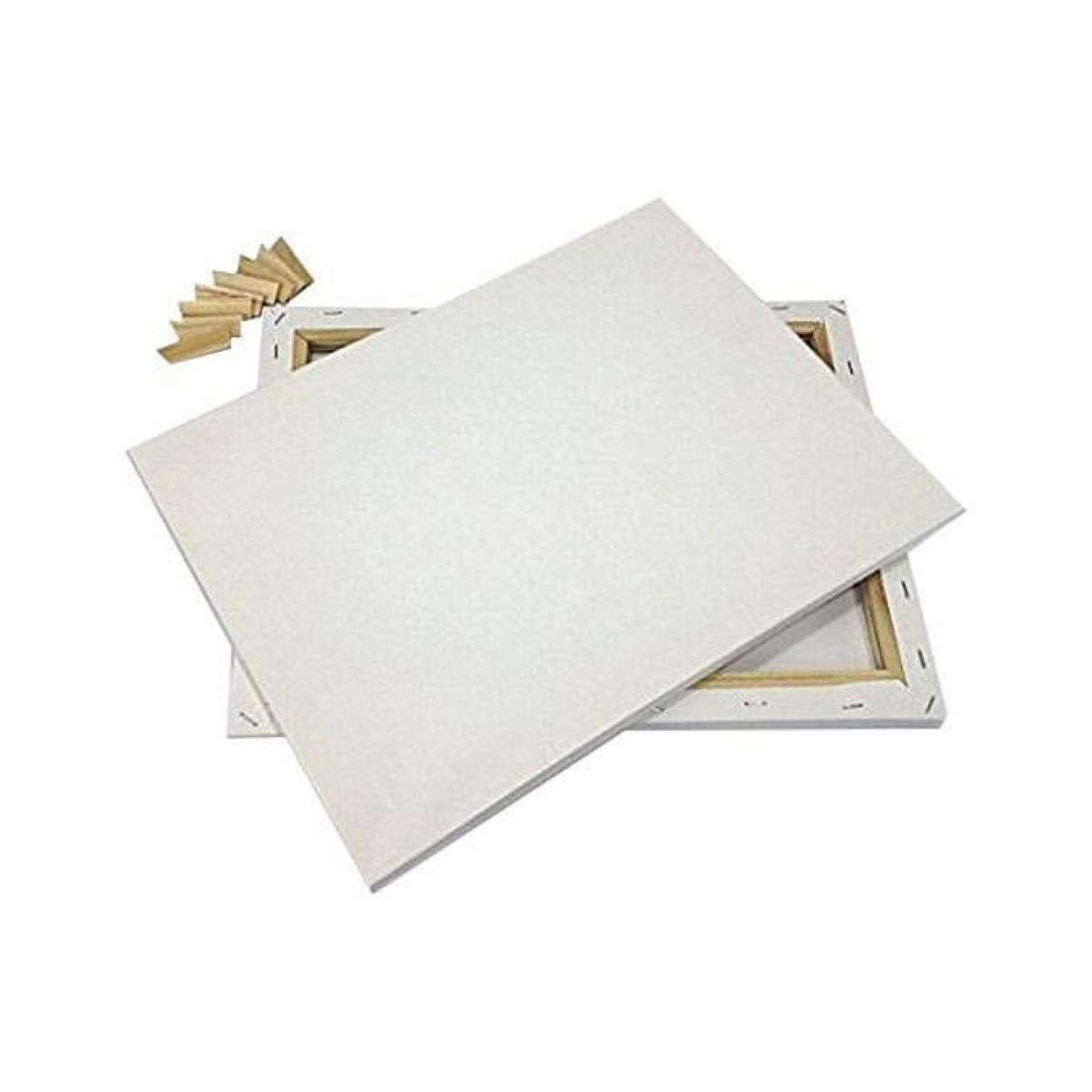 Canvas 10x12 inch (2pc) , Canvas for Painting, Canvas Board, Drawing Canvas