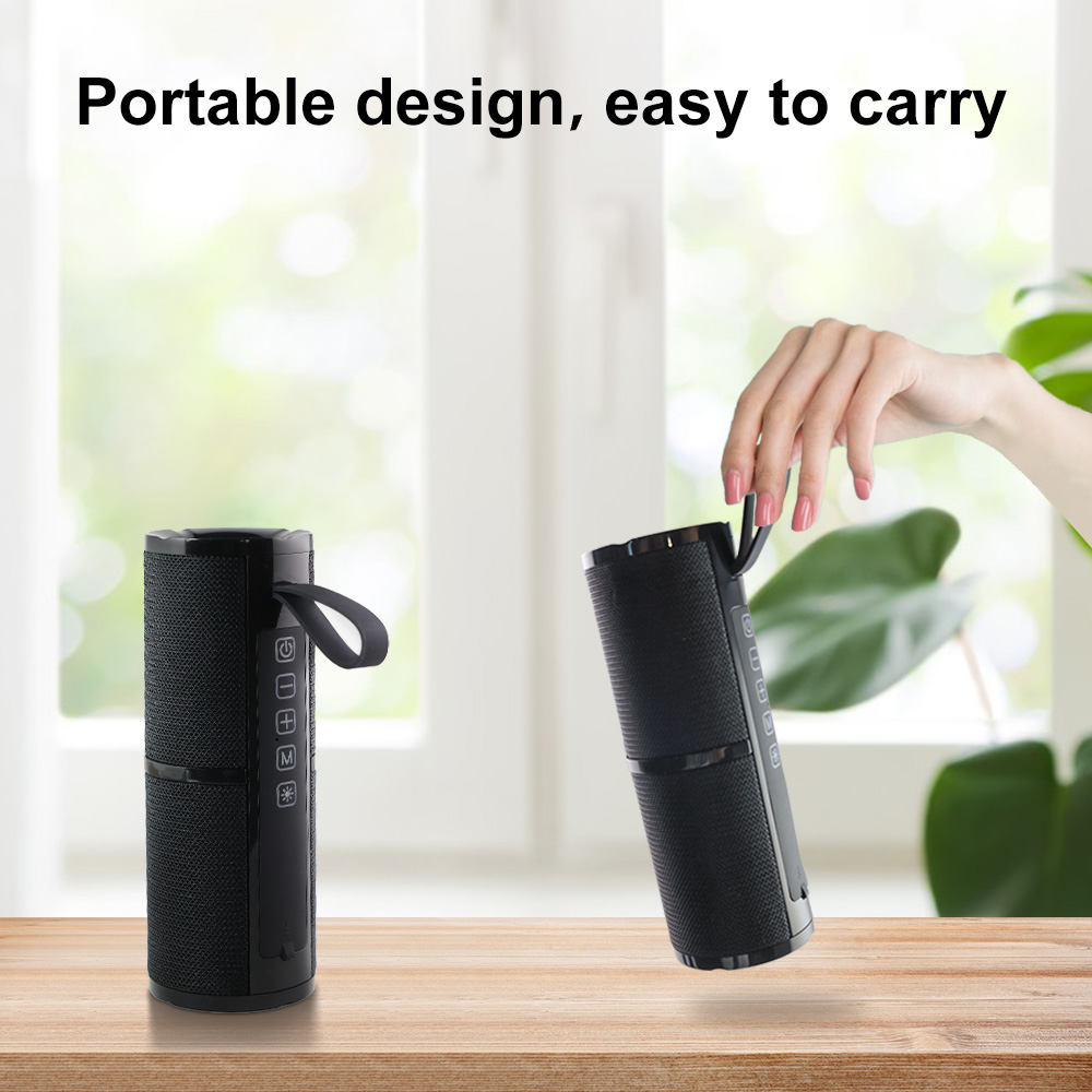WISE TIGER FM Radio Speaker Bluetooth Speaker BT5.3 Portable Bluetooth Speaker with RGB Light USB TF Card Slot 10W TWS Dual Pair. 