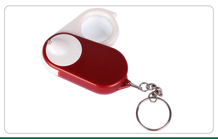 Folding Pocket Magnifying Glass With Keyring. 