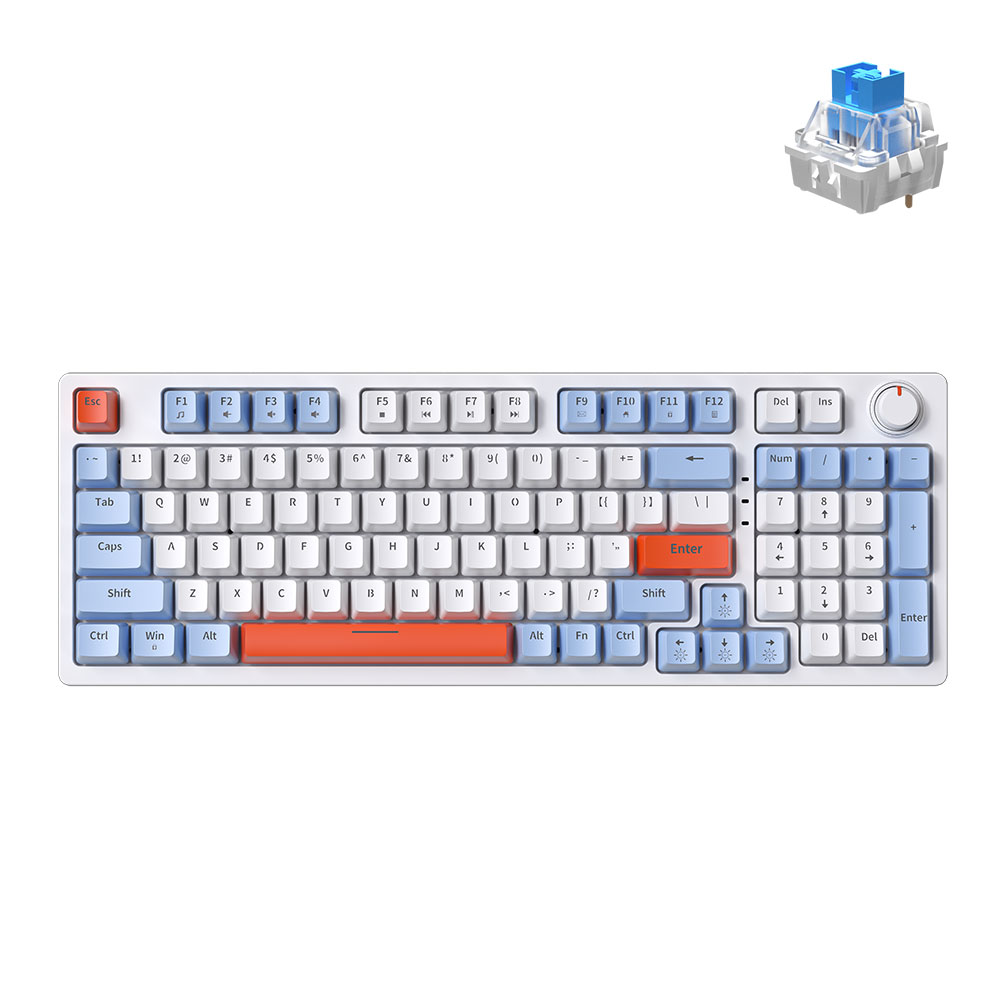 ZIFRIEND KA981 Full Size RGB Mechanical Keyboard Wired USB Keyboard 98 Keys Red/Blue Switch Hot Swappable for Windows Gamer. 