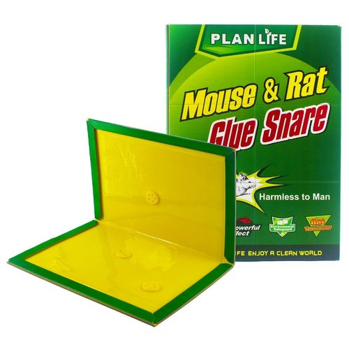 Mouse Rat Bond Traps Green Killer China (3 Pcs). 