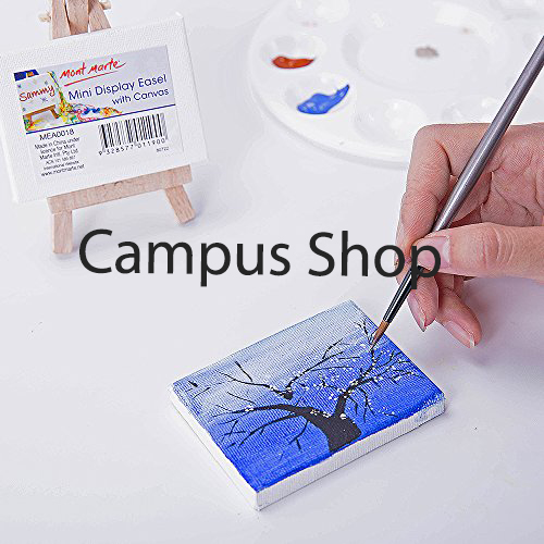 Mont Marte Mini Canvas With Display Easel - Canvas. 