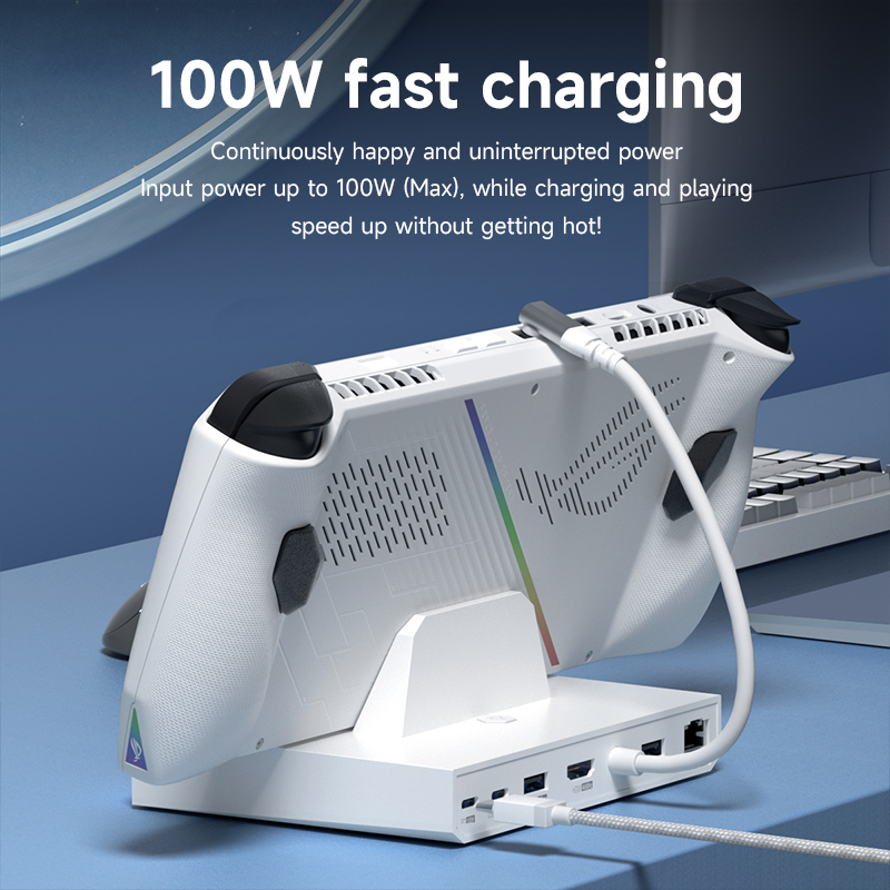 Hagibis ROG Ally/Steam Deck/Switch/OLED Dock 6 in 1 Universal Docking Station With 4K HDMI 2.5G RJ45 100W PD RGB Light USB C Hub. 