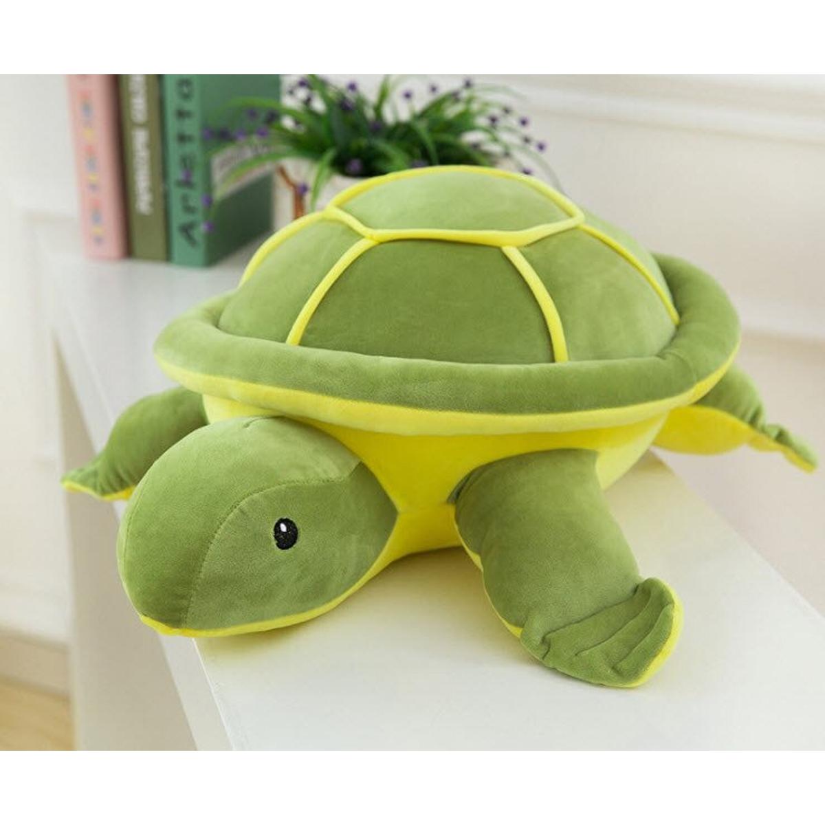 Tortoise teddy store