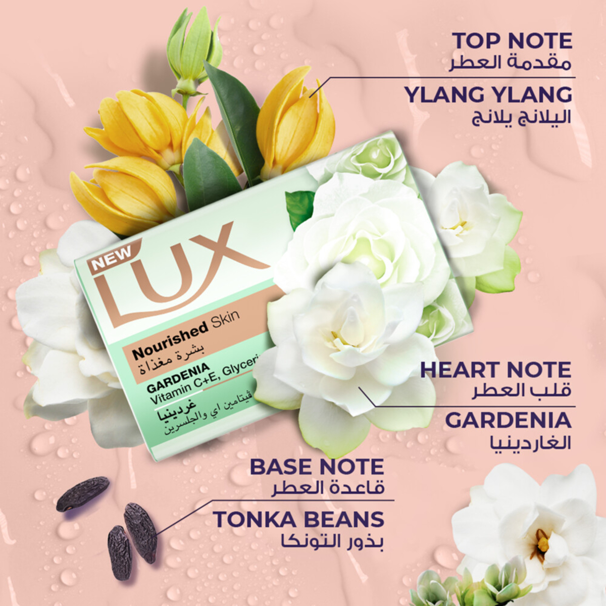 Lux Nourished Skin Gardenia Bar Soap 170g Online at Best Price | Bath Soaps  | Lulu UAE