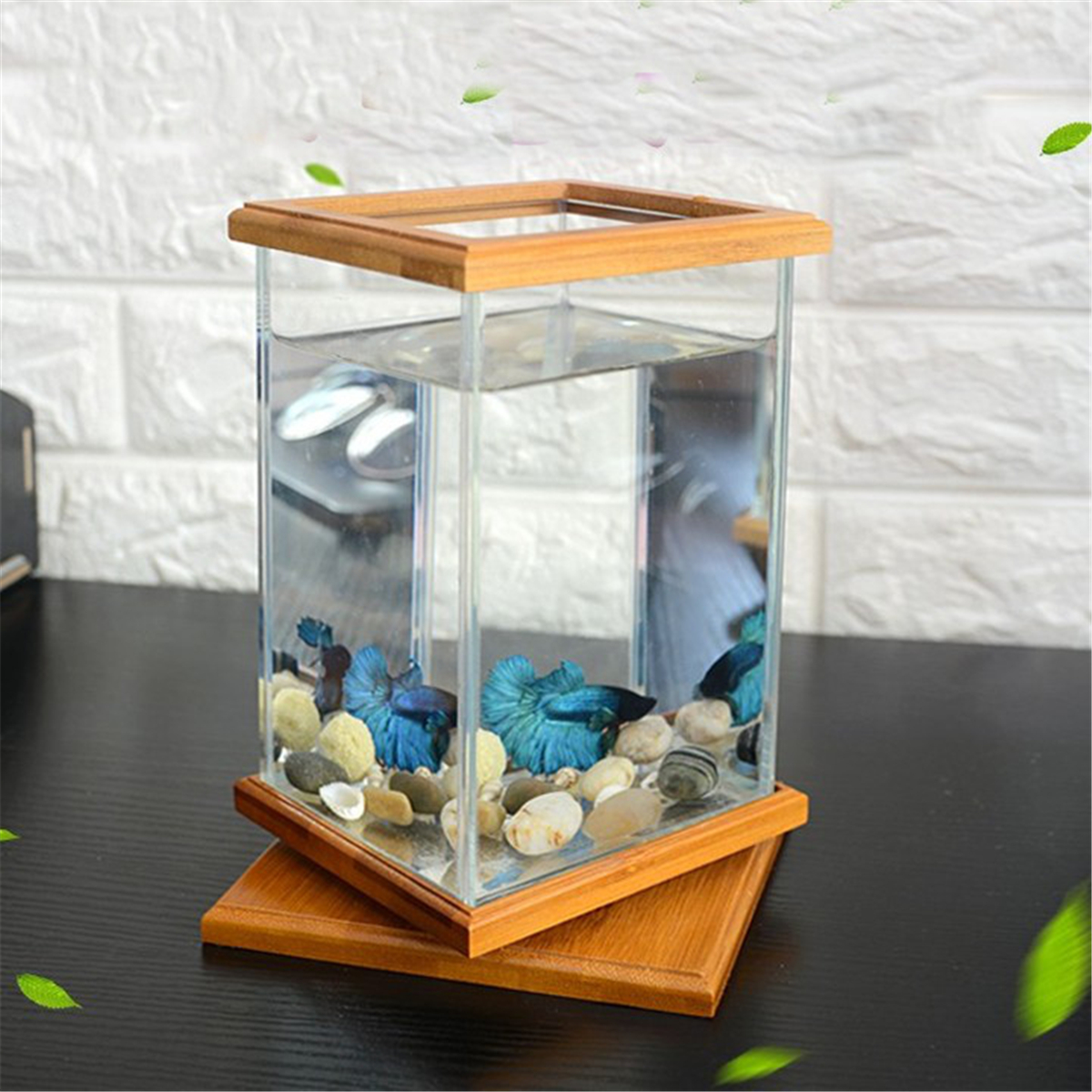 fish tank container