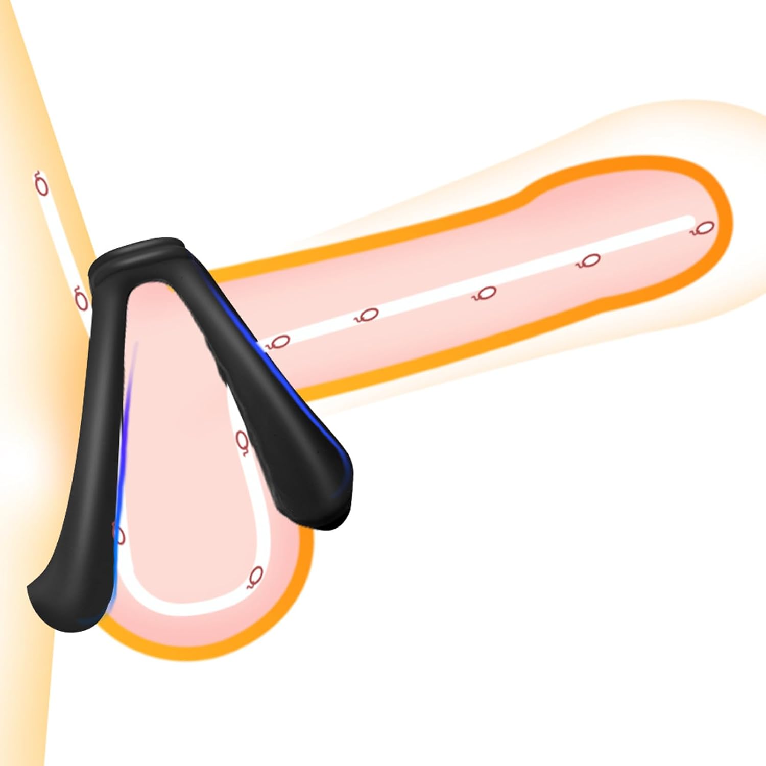 Silicone Dual Ring used in Testicle Glans Scrotum for a Delay. 