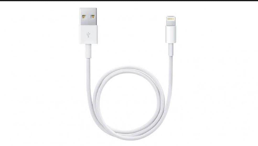 iPhone 8 Lightning to USB cable