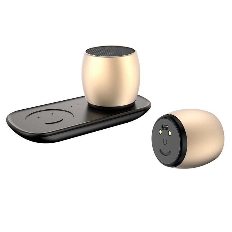 (New)SARDiNE F1 Aluminium Alloy Stereo Wireless Bluetooth Speaker with Charging Dock - Supports Hands-free Calling. 