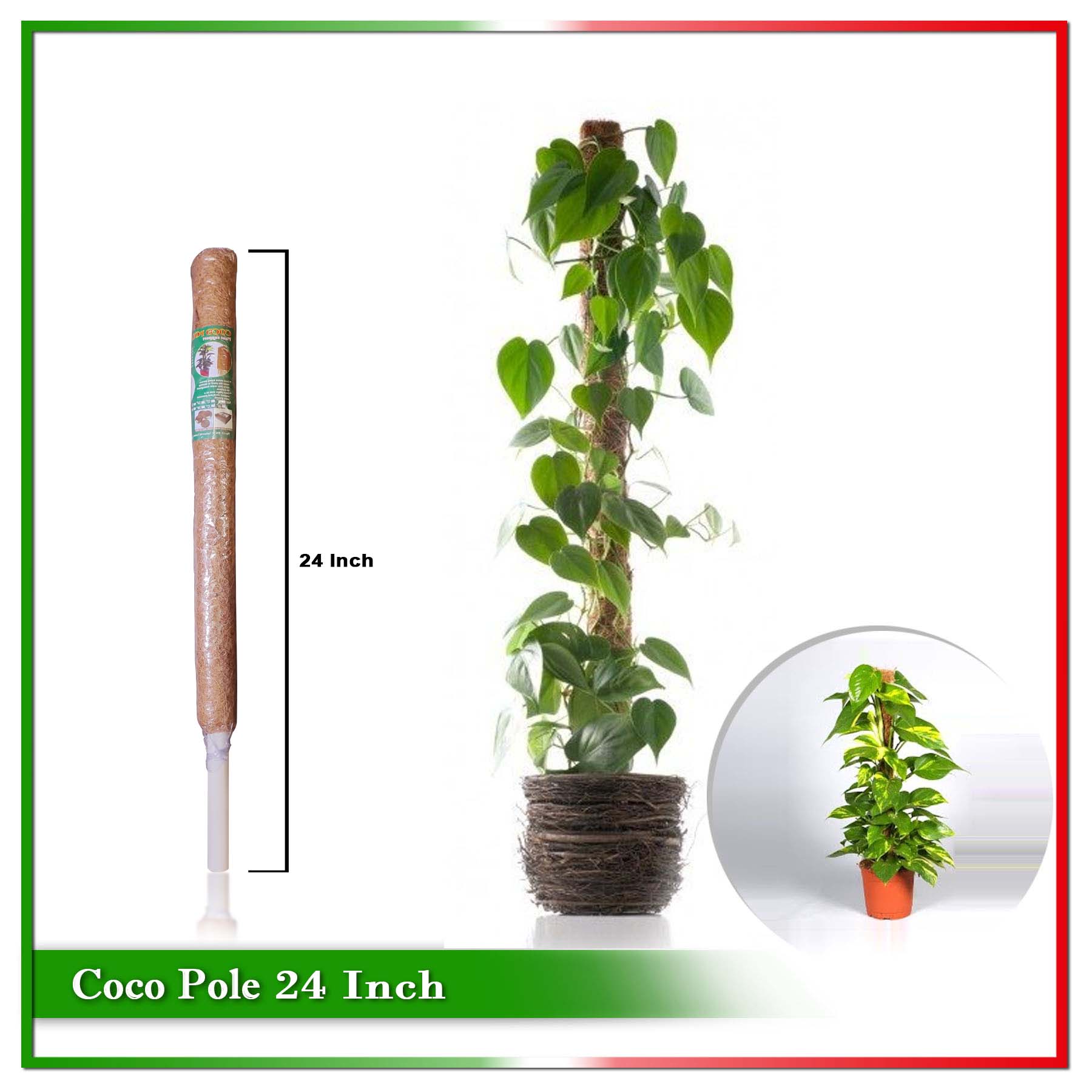24 Inch Coco Pole (Plant Support) - 1 Pcs