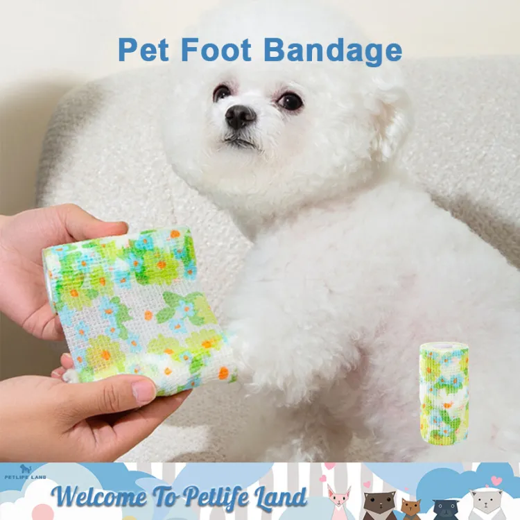 Dog 2024 bandage sock