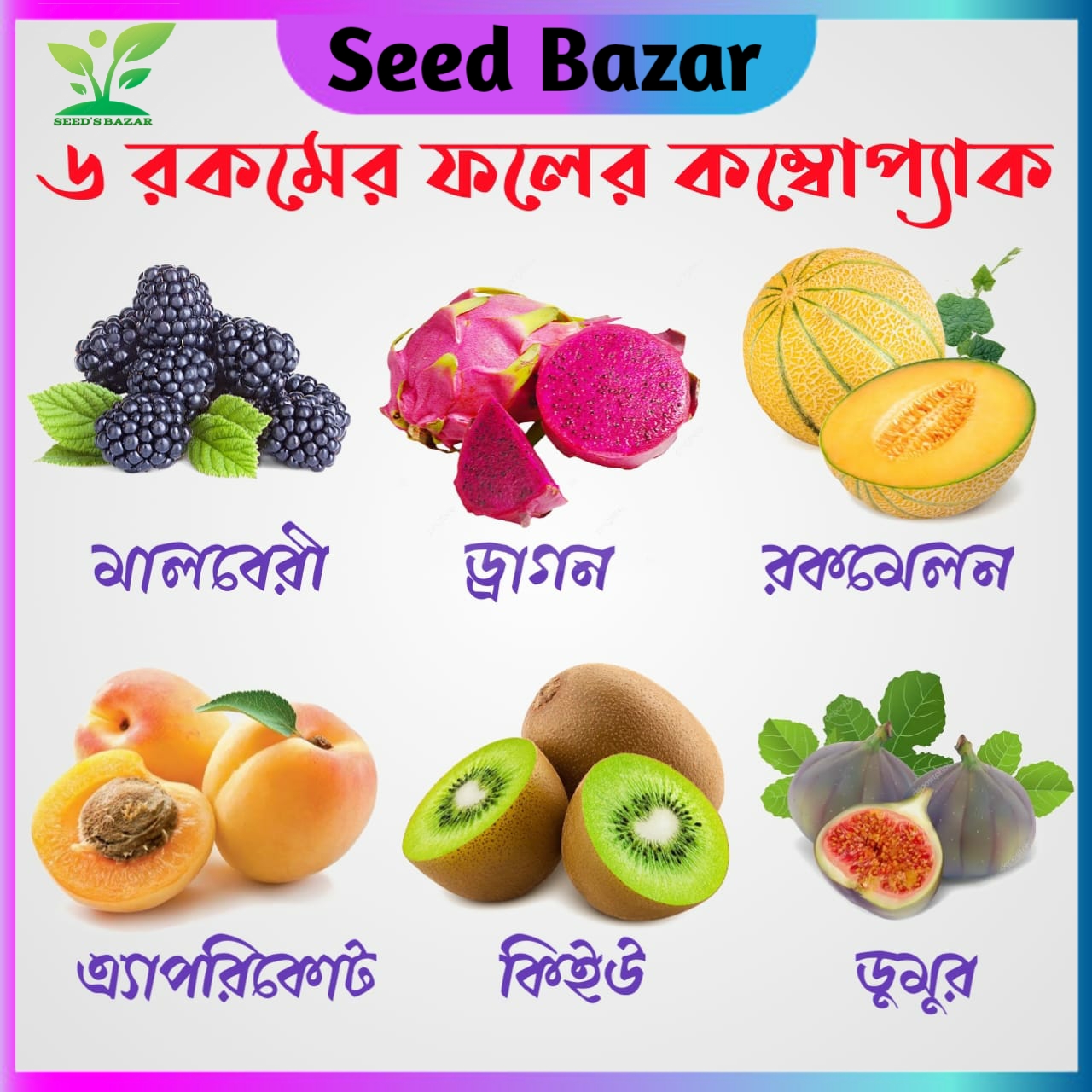 All Season Fruits Seeds Combo Pack (6 Types Fruits) + Gift