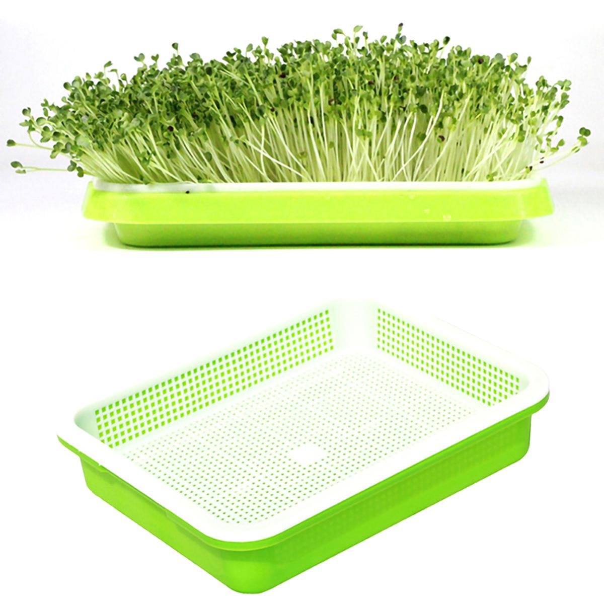 【3C VictoryEagle】Seedling Double-Layer Nursery Tray Hydroponics Basket BDM