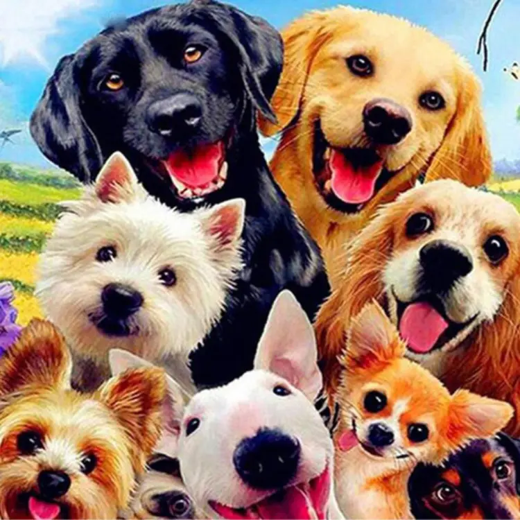 Diamond Painting Dog, 5d Full Drill Diamond Painting Kits For Kids And  Adults Pictures By Numbers Colorful Art Diy Embroidery Craft Animals Dogs  Paint
