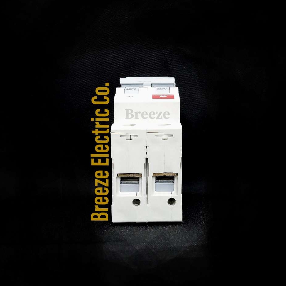 Havells Circuit Breaker 63A DP MCB.  Model: Euro-II. India.. 