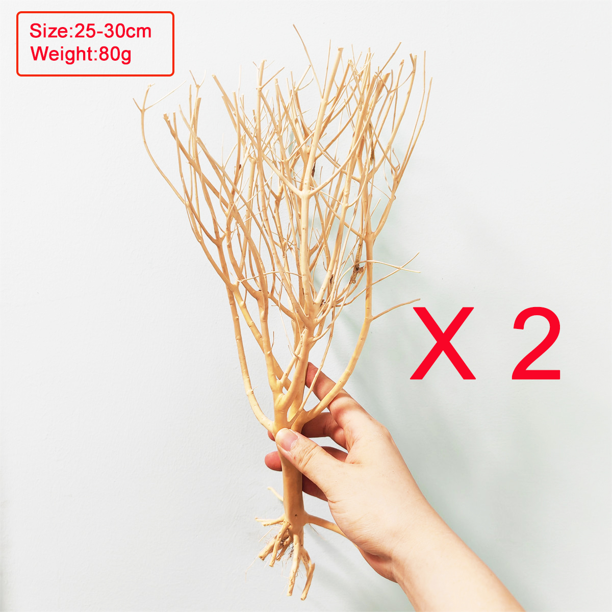 20/30CM Driftwood Branches Drift wood Aquarium Plant Wood Fish Tank landscape Natural Tree Trunk Natural Trunk Driftwood