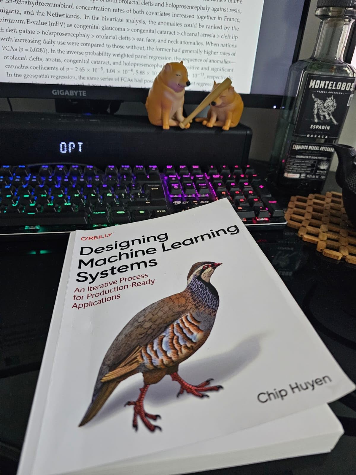 Designing Machine Learning Systems: An Iterative Process for Production-Ready Applications. 