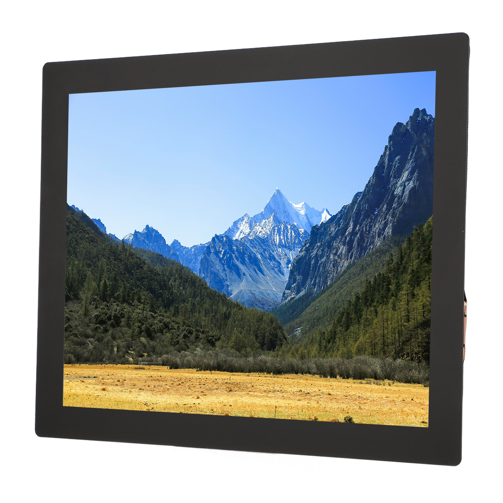 8 In IPS LCD Capacitive Touchscreen 768x1024 Resolution 6H Hardness 10 Point New