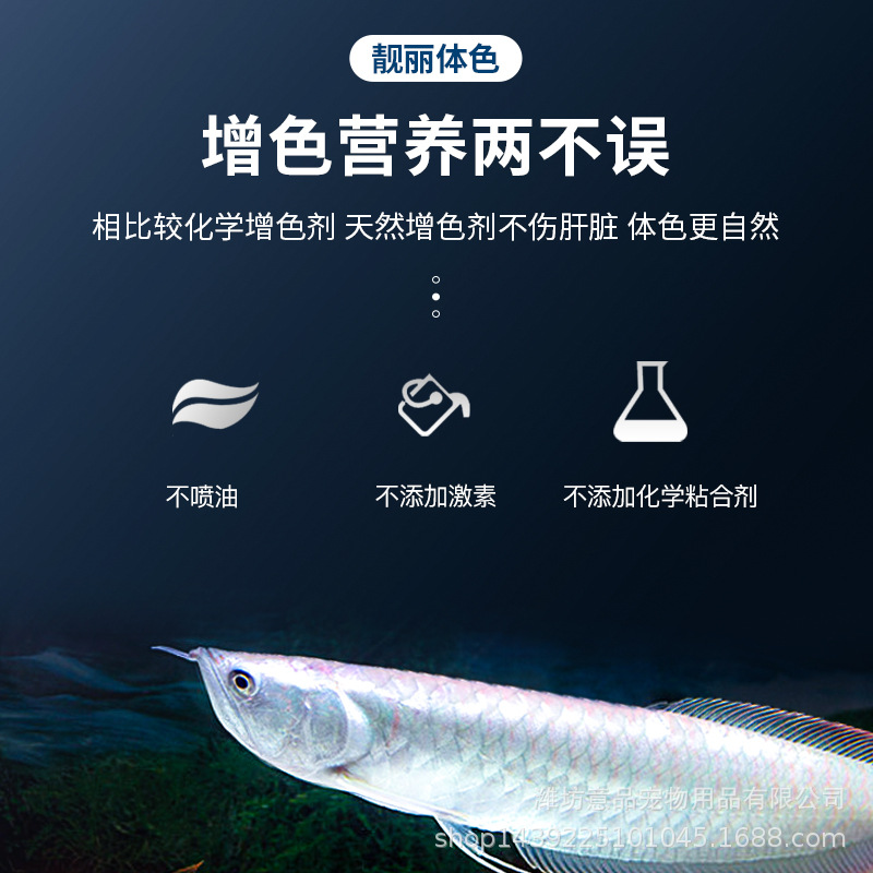 Silver Arowana feed / Silver Dragonfly Feed special fish food 400gm / 1250ml. 