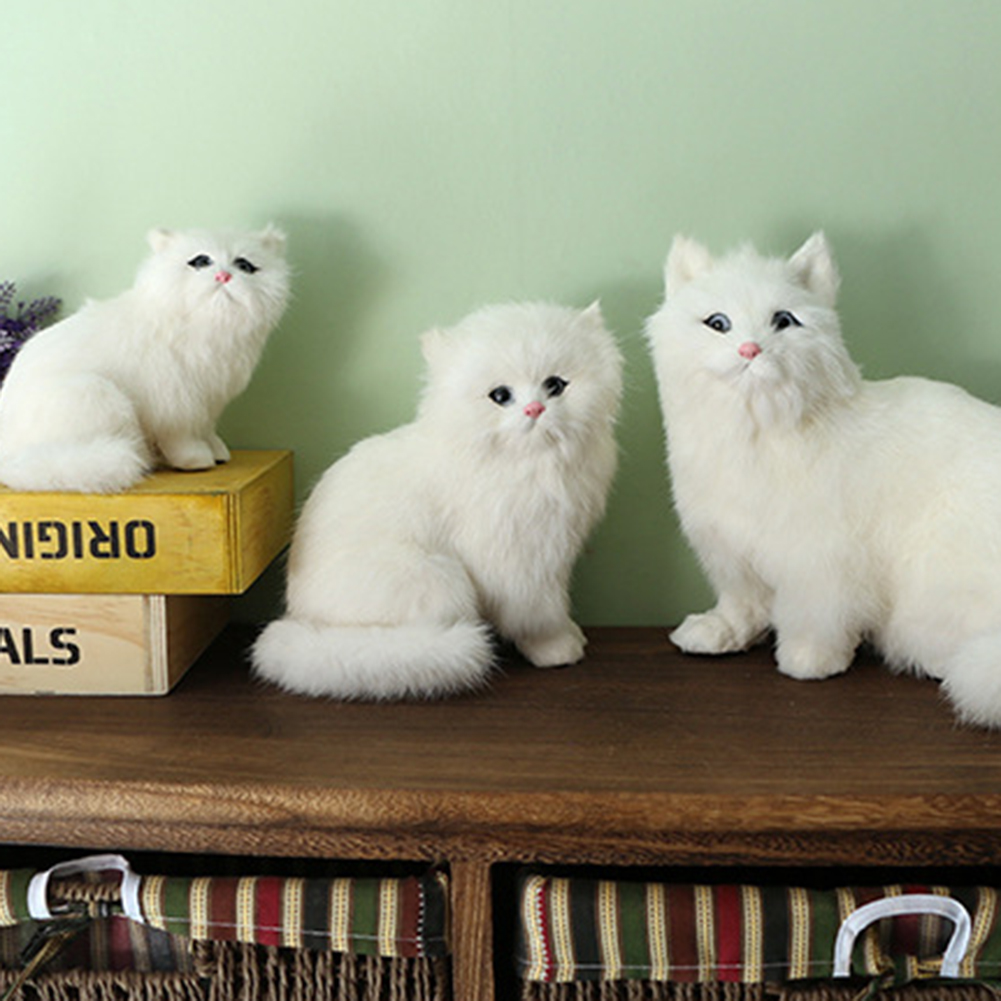 Persian Cat Buy Online atelieryuwa.ciao.jp