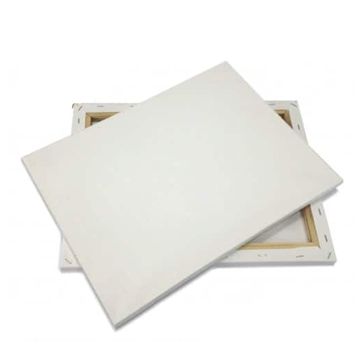 Canvas 10x12 inch (2pc) , Canvas for Painting, Canvas Board, Drawing Canvas. 