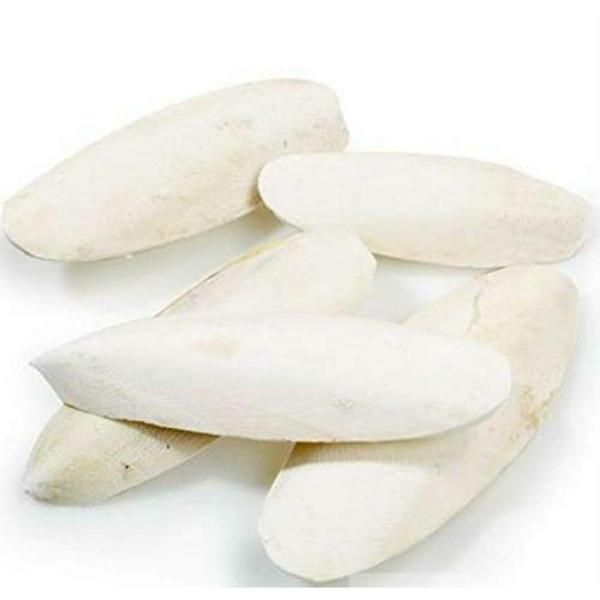 Cuttlefish bone for birds(Cuttlefish Bird Food)-50 gm. 