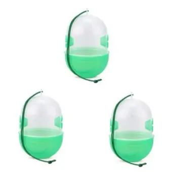 sugar water fly trap