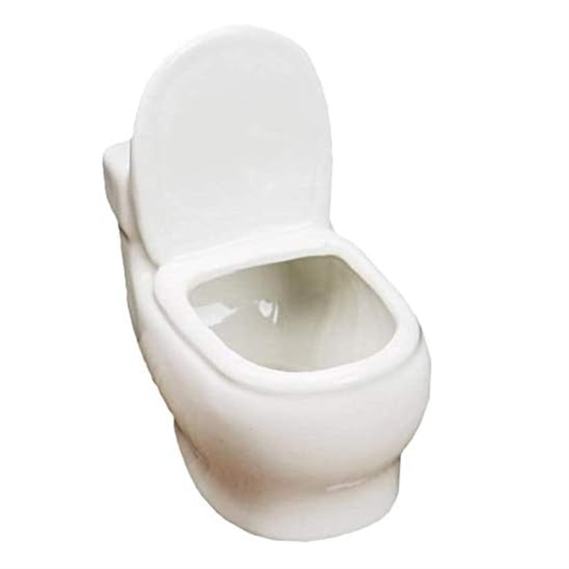 White Ceramic Toilet Plant Pot/Bonsai Pot/Flower Pot/Succulent Planter Perfect Gifts for Women, Mom or Birthdays, Fine Workmanship