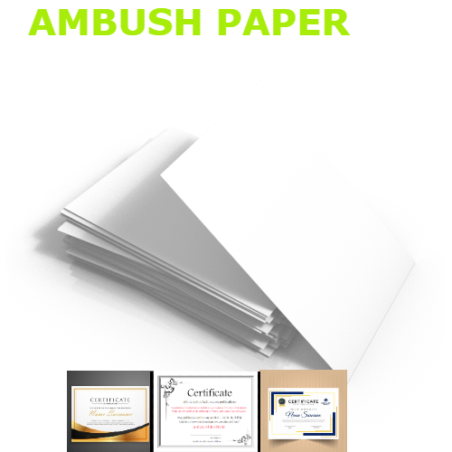 Papertree white ambush certificate paper 160 gsm A4,10 sheets. 