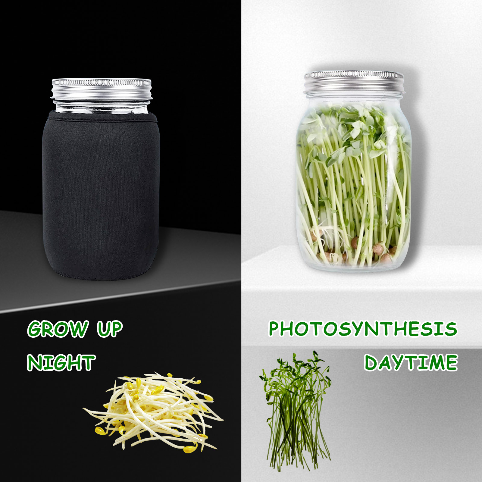 Seed Sprouting Jar Kit Durable Glass Bean Sprouts Growing Kit with Stainless Steel Screen Sprout Lids Stands Shading Cloths Tray. 