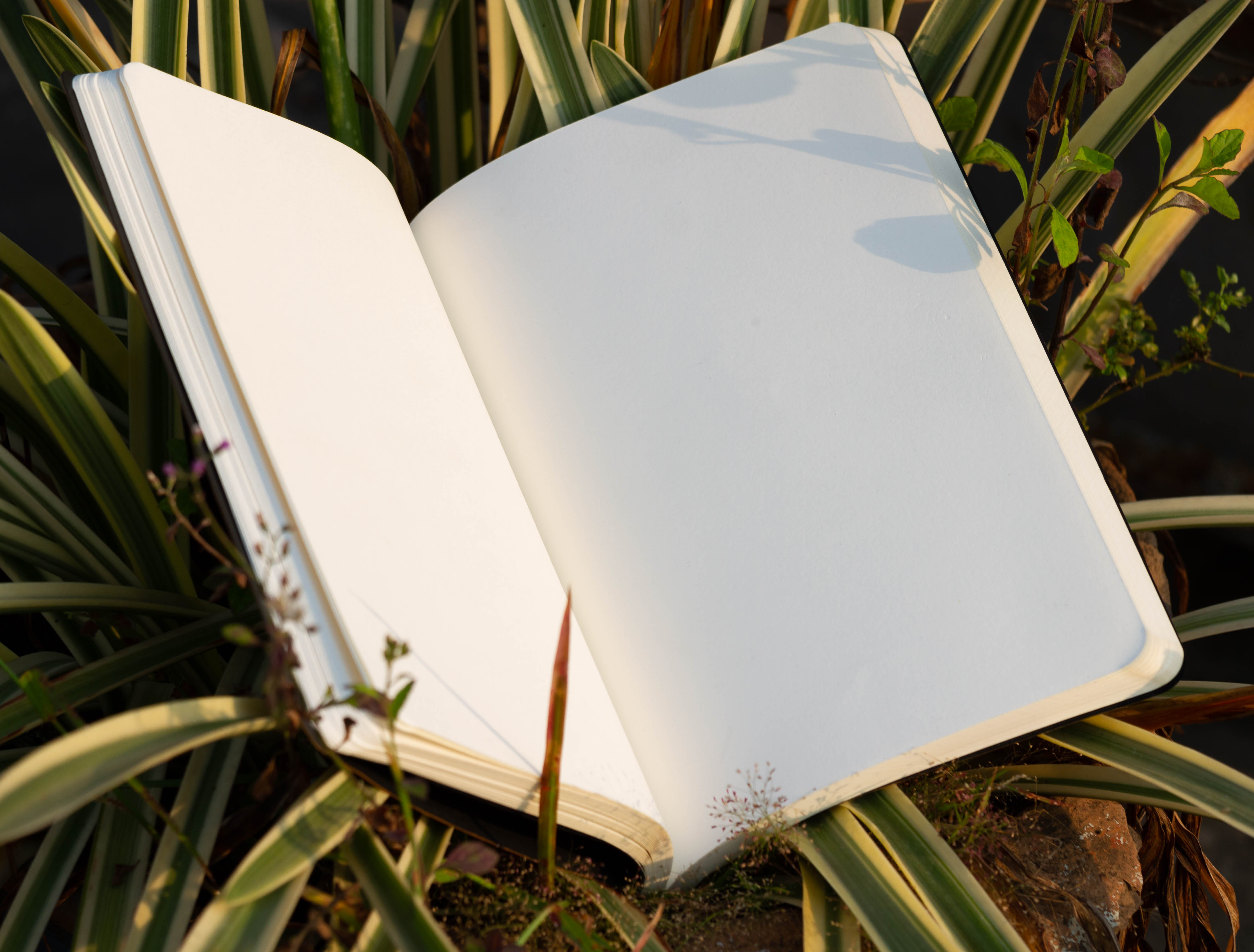 Daily Journal Black Notebook With Elastic Band - Notebook. 