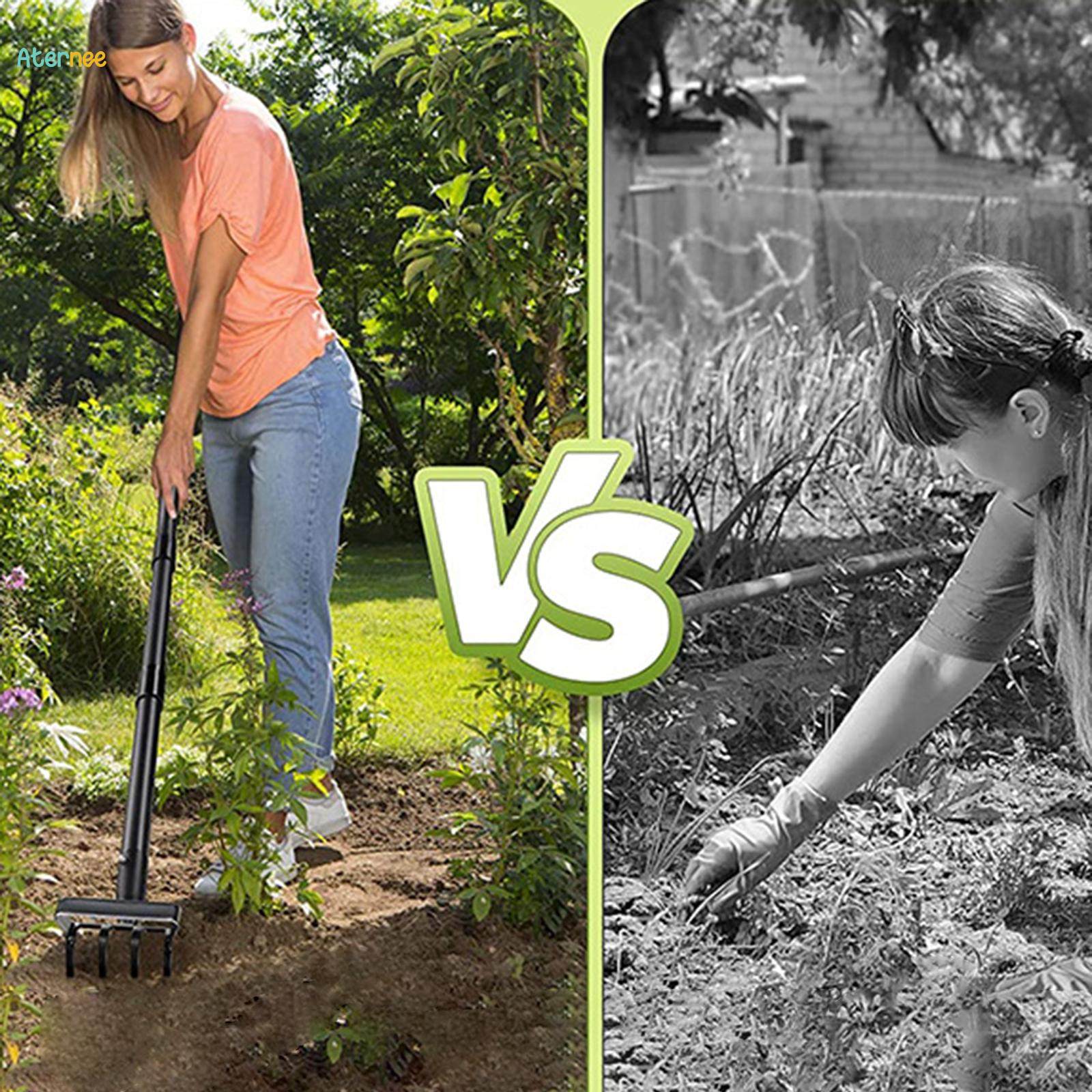 Hoe and Cultivator for Weeding, 2 in 1 Heavy Duty with Handle, Scuffle Garden Hoe with Rake, Metal Weeding Loop Hoe. 