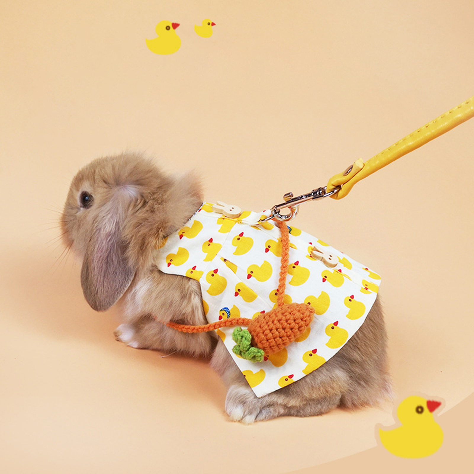 Pet rabbit outlet clothes