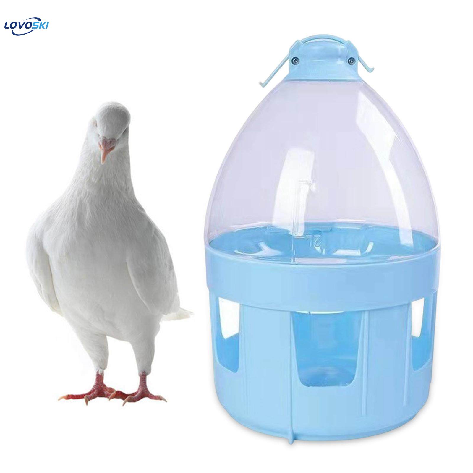 Automatic pigeon feeder best sale