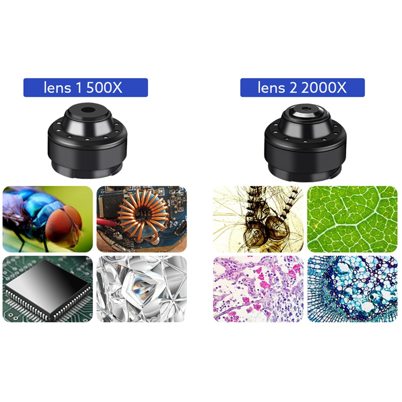 2000X Biological Digital Microscope USB Microscope. 