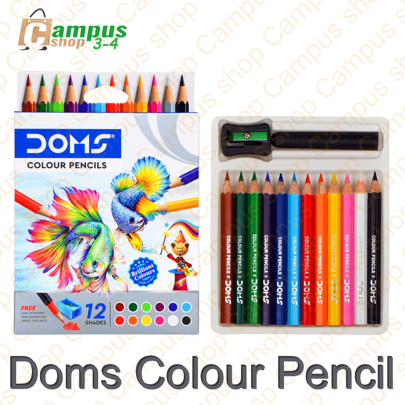 Doms Colour Pencil 12 mini, 12 big, 24 big | Daraz.com.bd