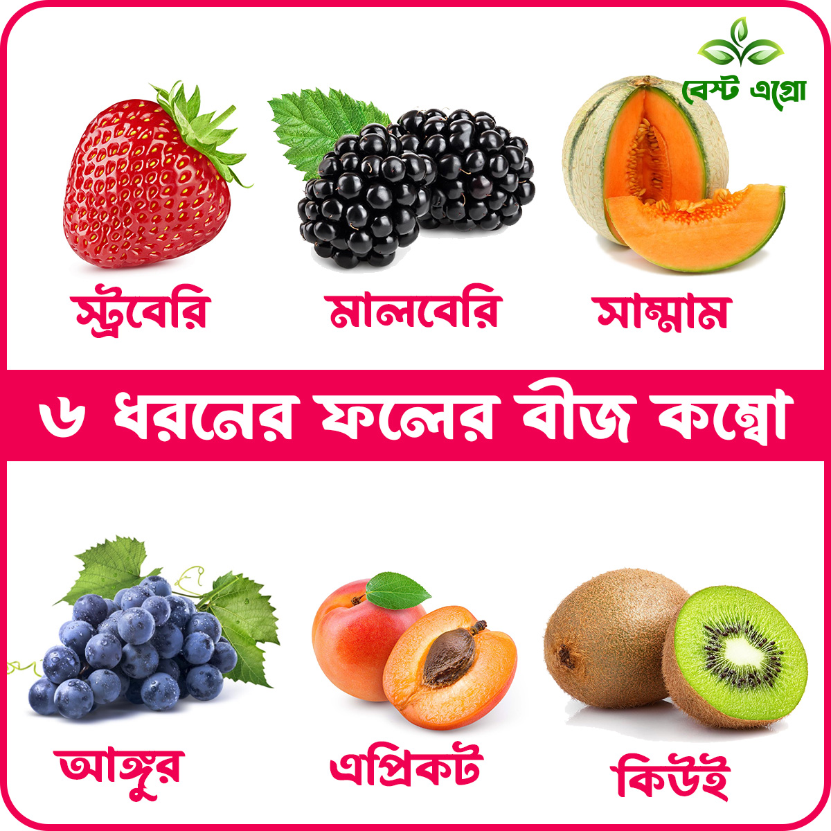 Indispensable - Superb Quality - 6 type of fruit seeds combo pack. 20 seeds total - Tools, DIY & Outdoor - Express Yourelf