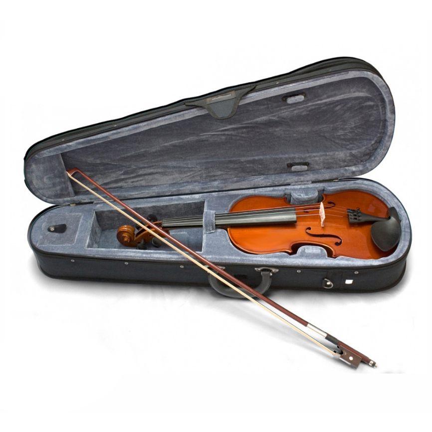 Valencia Professional Violin 4/4 (Full Size)