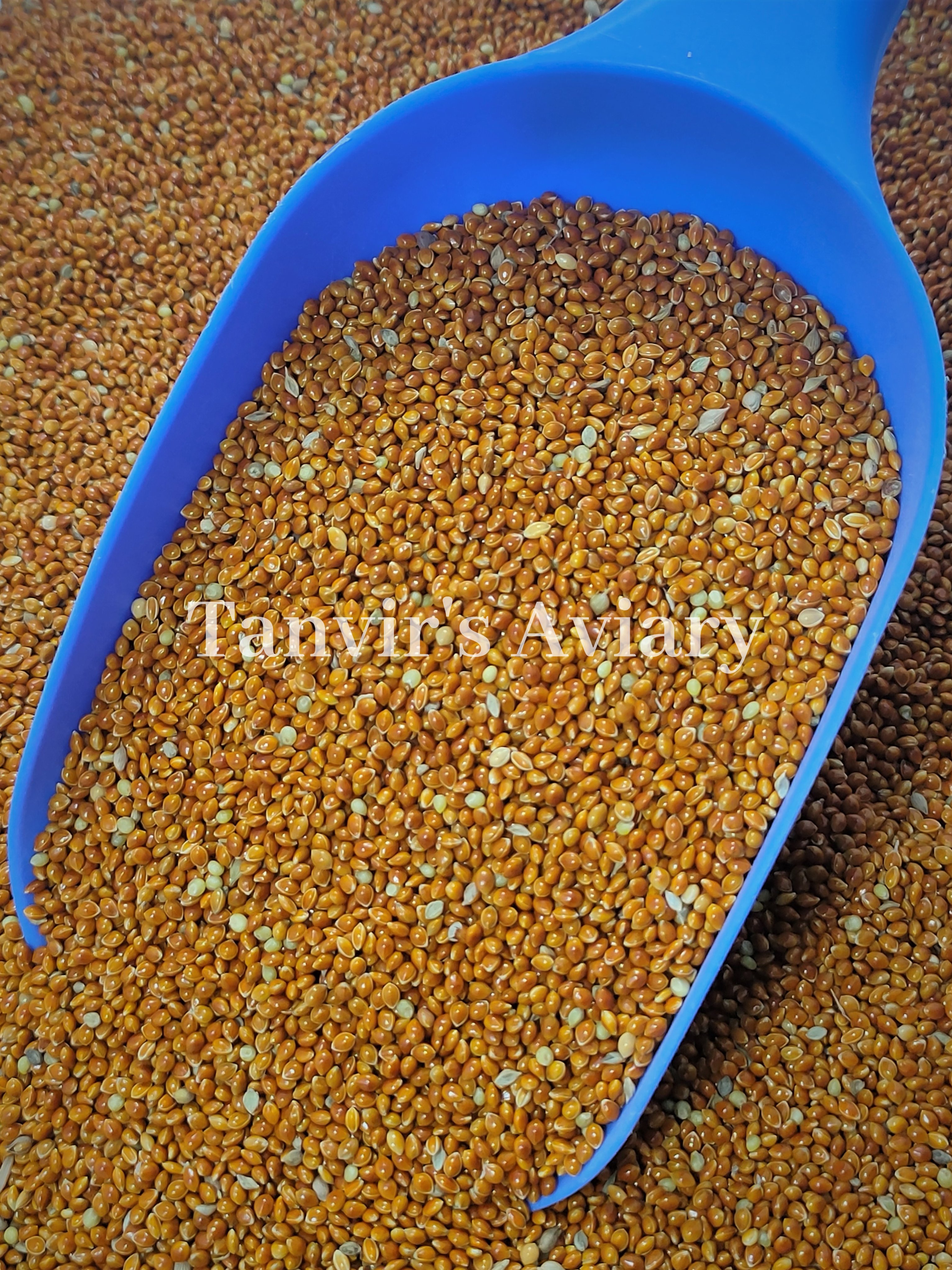 Red Millet For Birds -500g. 