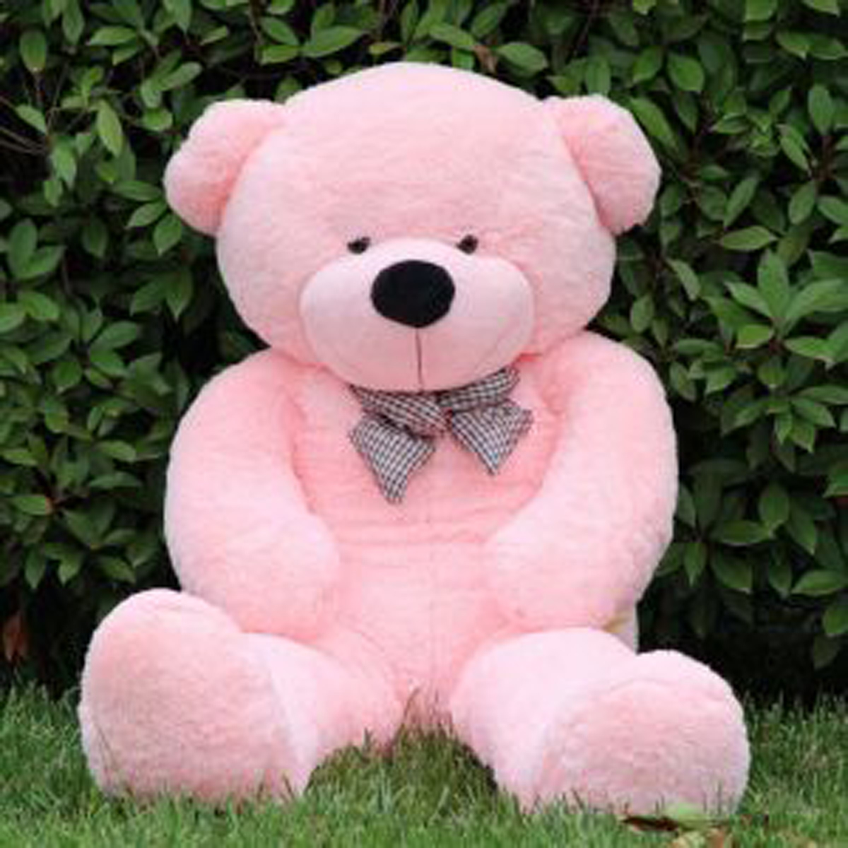 Daraz teddy bear deals