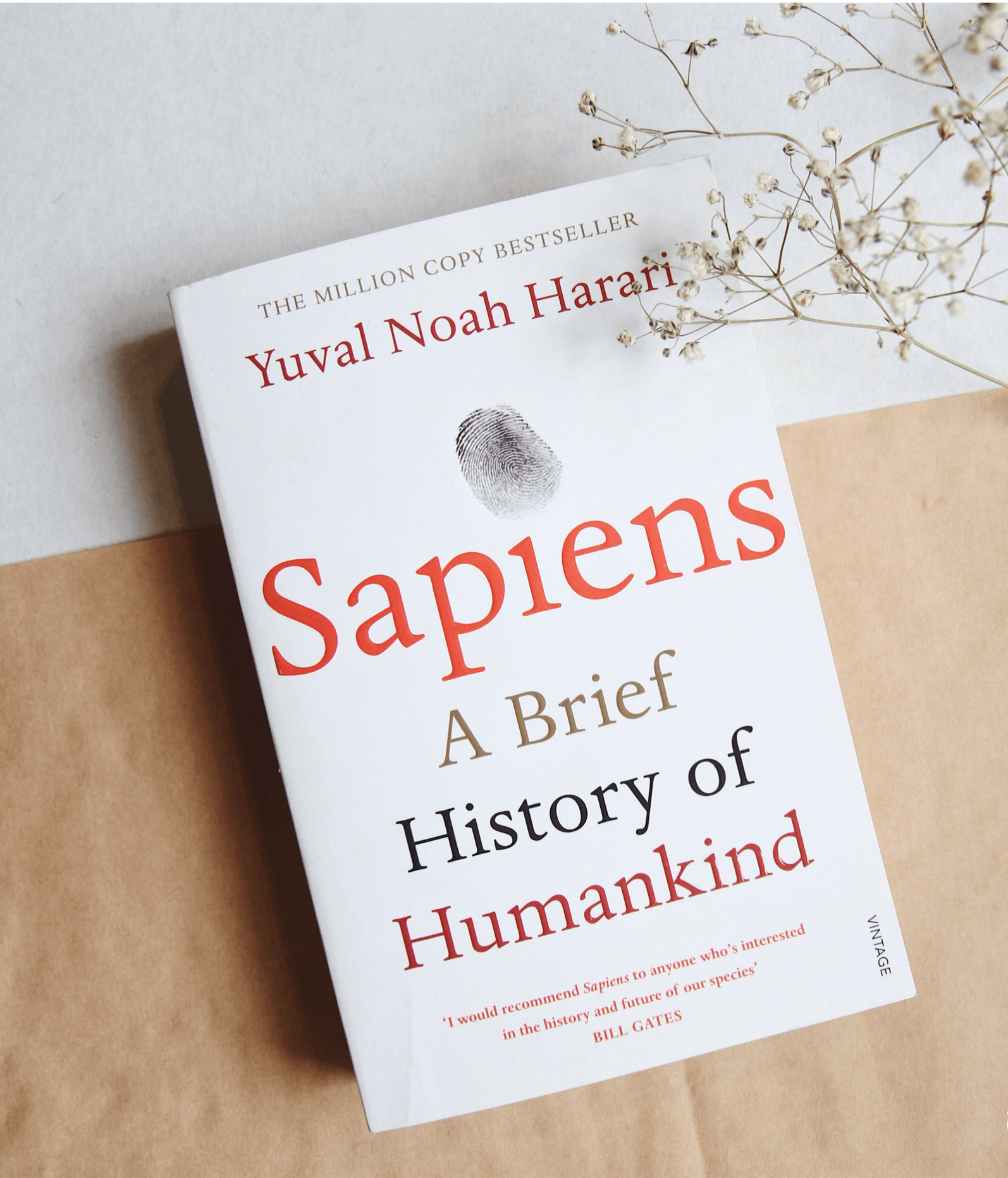 sapiens brief history of humankind sapiens brief history of humankind