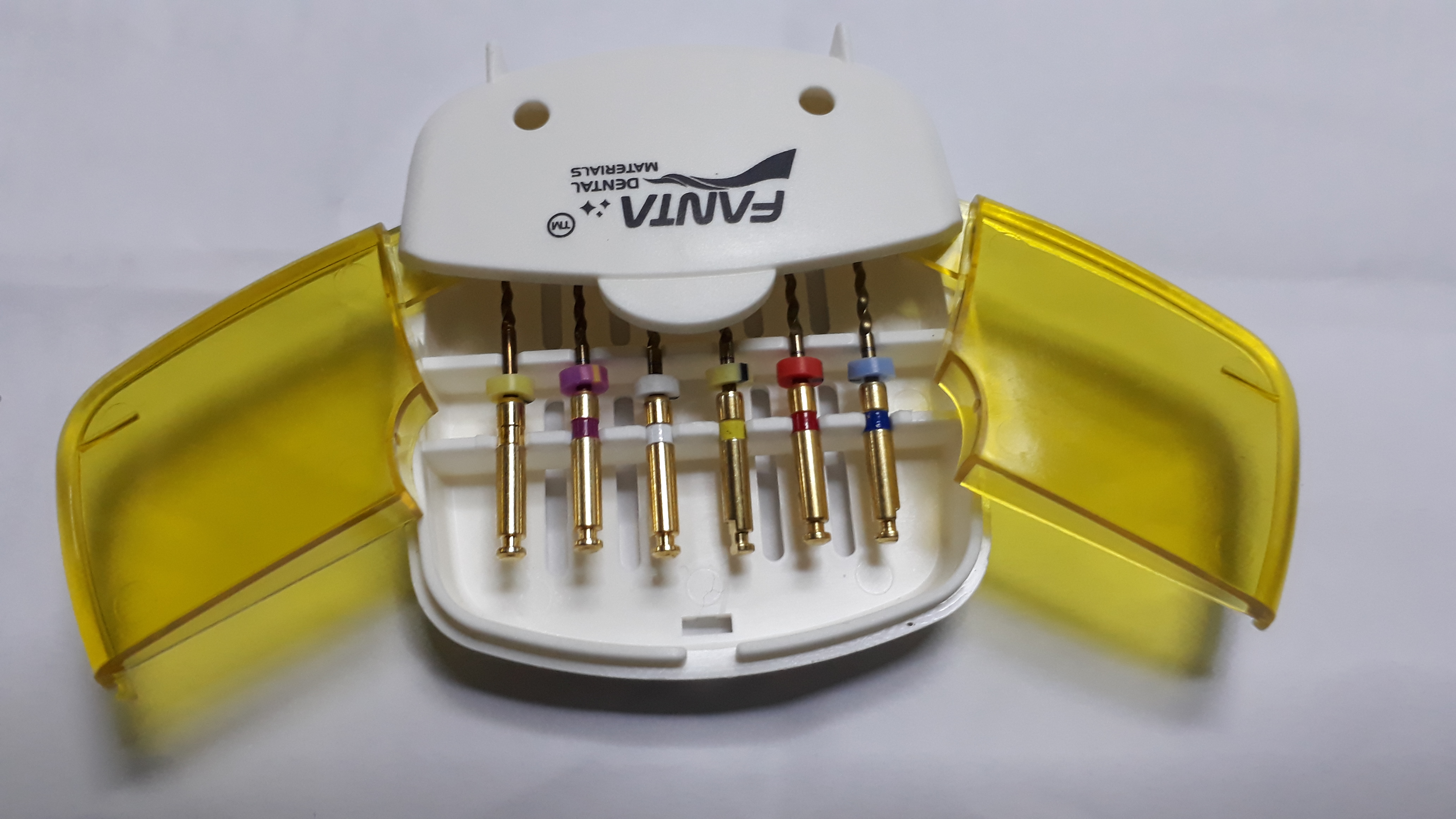 Fanta Rotary Files ubicaciondepersonas.cdmx.gob.mx