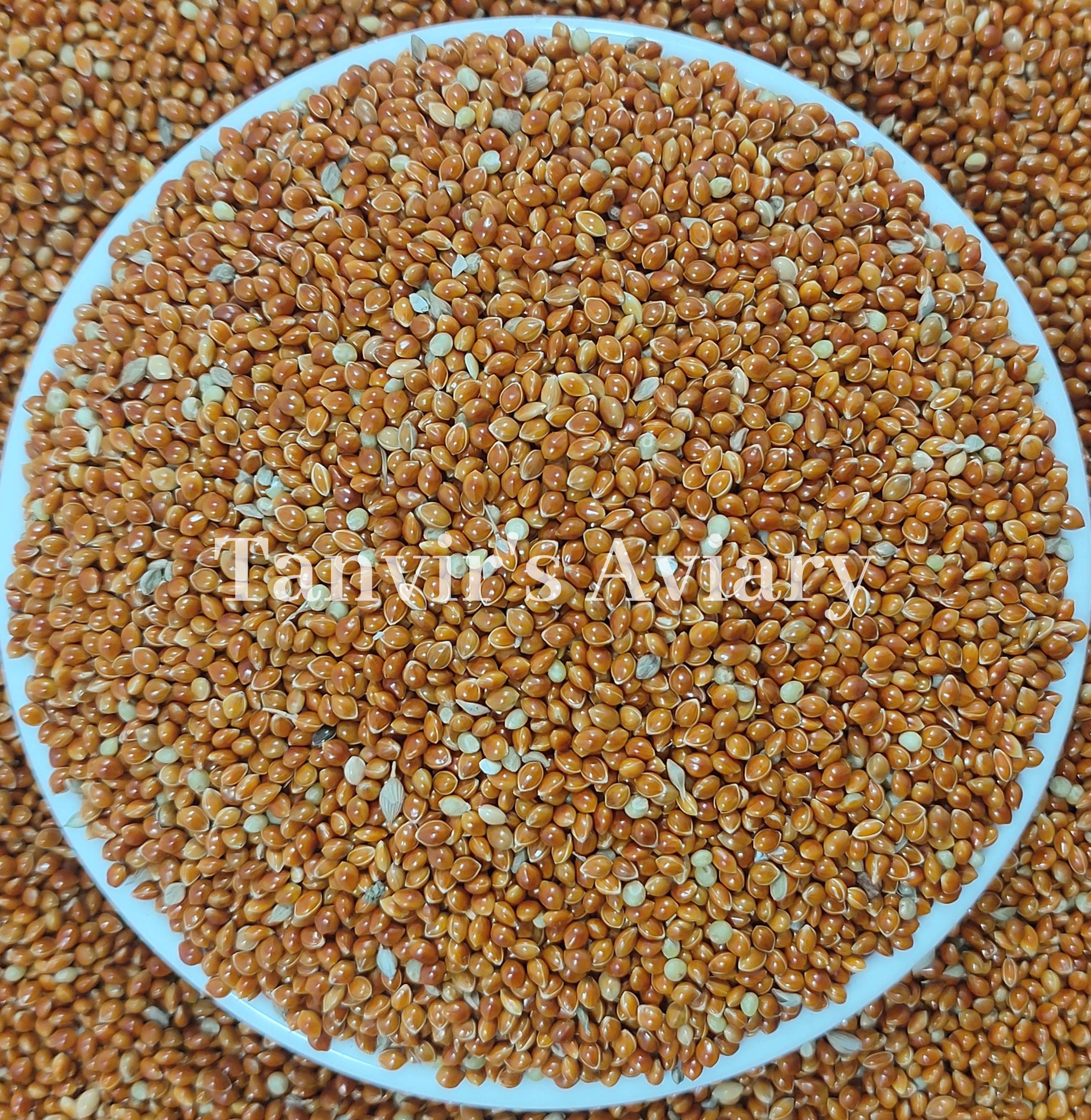 Red Millet For Birds -500g. 